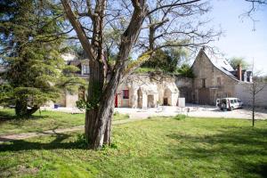 Maisons de vacances Cottage de la Tour - Duplex troglodyte of 100 m² : photos des chambres