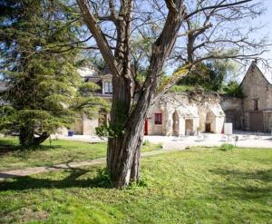 Maisons de vacances Cottage de la Tour - Duplex troglodyte of 100 m² : photos des chambres