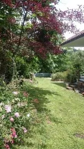 Sea Cinque Terre. Calm, cool, freedom good for children and pet. WiFi Parking - Ziona