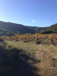 Maisons de vacances Gite in the heart of Corbieres : photos des chambres