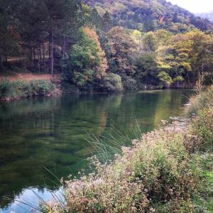 Maisons de vacances Gite in the heart of Corbieres : photos des chambres