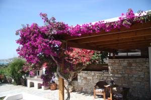 Cozy house close to the beach Naxos Greece