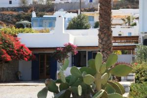 Cozy house close to the beach Naxos Greece