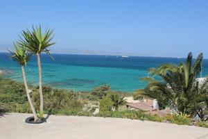 Villa - Irene's Dream Naxos Greece