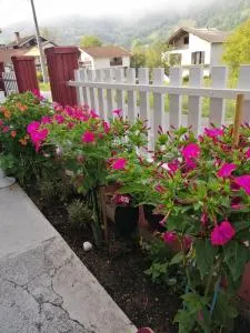 Apartment Barbara - Boričevac