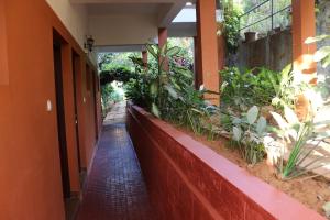 Planet Green Plantation Resorts, Wayanad, Kerala