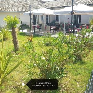 Hotels Le Merle Blanc Louchats : photos des chambres