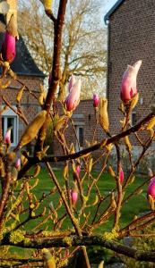 B&B / Chambres d'hotes Il etait une ferme : photos des chambres