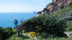 Il Veliero Tanca Piras img51