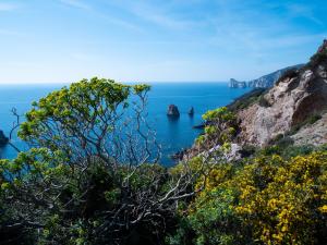 Il Veliero Tanca Piras img33