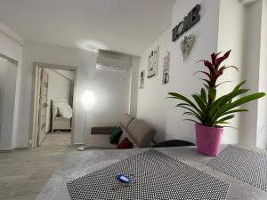 Renting Solutions Iulius Mall