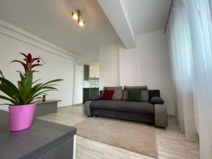 Renting Solutions Tudor