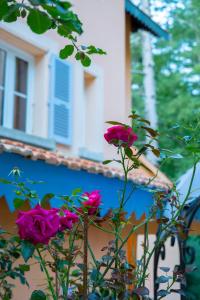 Hotels Hotel Restaurant U Castellu Vizzavona : photos des chambres