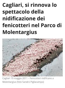 Trilocale Margine Rosso img58