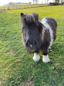 Le Clos Saint Fiacre