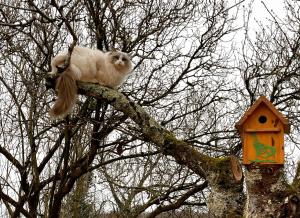 B&B / Chambres d'hotes Moulin de Pras : photos des chambres