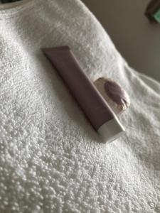 Pension S láskou Karel Bezděz