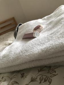 Pension S láskou Karel Bezděz