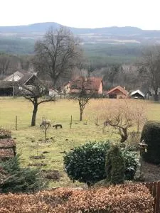 Pension S láskou Karel Bezděz - Woken