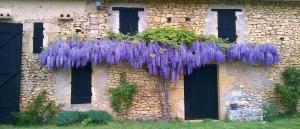 Maisons de vacances Domaine de Manilau : photos des chambres