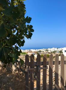 Themonia Traditional Home Folegandros Greece