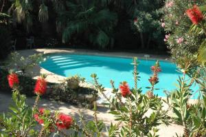 LAmandari - Provence holidays - Chambres dhôtes avec jardin, piscine, jacuzzi, climatisation