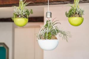 il Mare di Ada:seaside apartament in Riomaggiore