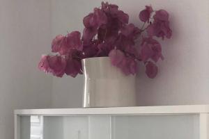 Rallou Traditional House Plaka Milos Greece