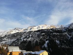 Appartements La Belledone a Vaujany : photos des chambres