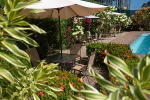 Hotel Margarita and Tour Operator Drake Bay