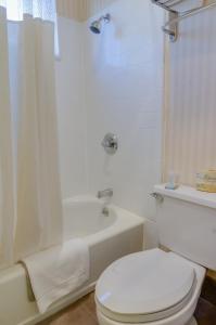 Queen Room - Non-Smoking room in Travelodge by Wyndham San Francisco Bay