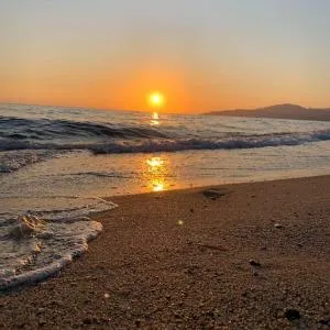 Petra Marina Maris - Rodio