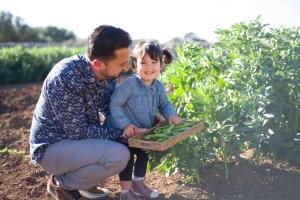 Llucmaçanes Gran Agroturismo