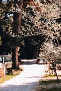 Mobile Home Peponi Del Mar, Camping Porton Biondi