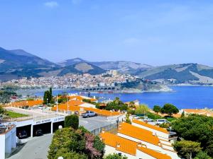 Appartements Appartement Banyuls superbe vue sur mer : photos des chambres