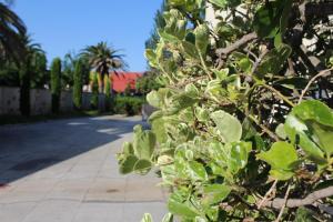 Casa rural Villa Verde