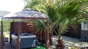 Blue Lagoon Suites & Spas Piscine Montauban photo 15