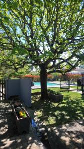 Blue Lagoon Suites & Spas Piscine Montauban photo 9