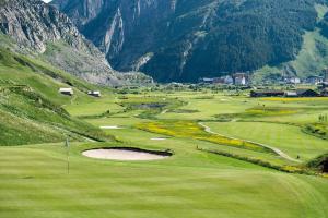 Realp-Andermatt 3,5 locali giardino privato In mezzo la natura, spettacolare per appassionati montanbike, pesca ecc In inverno fai sci di fondo dal giardino e con il treno davanti a casa si raggiunge in 5min il comprensorio scistico di Andermatt