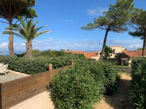 Villas Mini villa climatisee - Vue mer - Mer a 50 m - Jardin et 2 terrasses 300 m2 : photos des chambres
