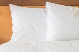 Double or Twin Room room in Staybridge Suites Ann Arbor - Research Parkway an IHG Hotel