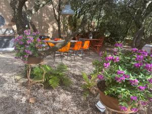 B&B / Chambres d'hotes Le calme de la garrigue : photos des chambres