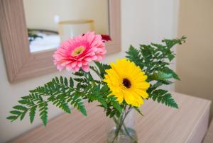 Georgias Apartment No2