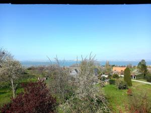 B&B / Chambres d'hotes Les Lys : photos des chambres