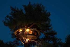 Stunning Treehouse 10 mins from sandy beaches Ilia Greece