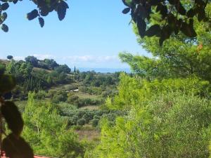 Stunning Treehouse 10 mins from sandy beaches Ilia Greece