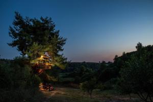 Stunning Treehouse 10 mins from sandy beaches Ilia Greece