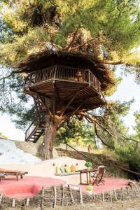 Stunning Treehouse 10 mins from sandy beaches Ilia Greece