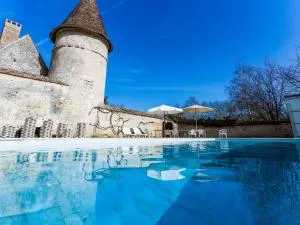 Beautiful Castle in Le Veurdre with Private Pool - Neure