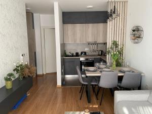 Apartment Pupin Star - City Centre